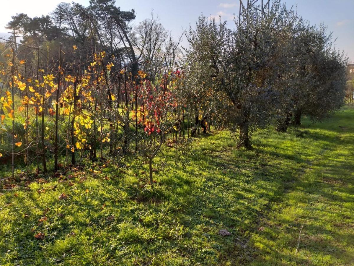 Villa Casa La Fonte à Altopascio Extérieur photo
